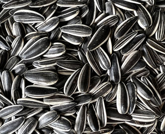 601 Sunflower seeds